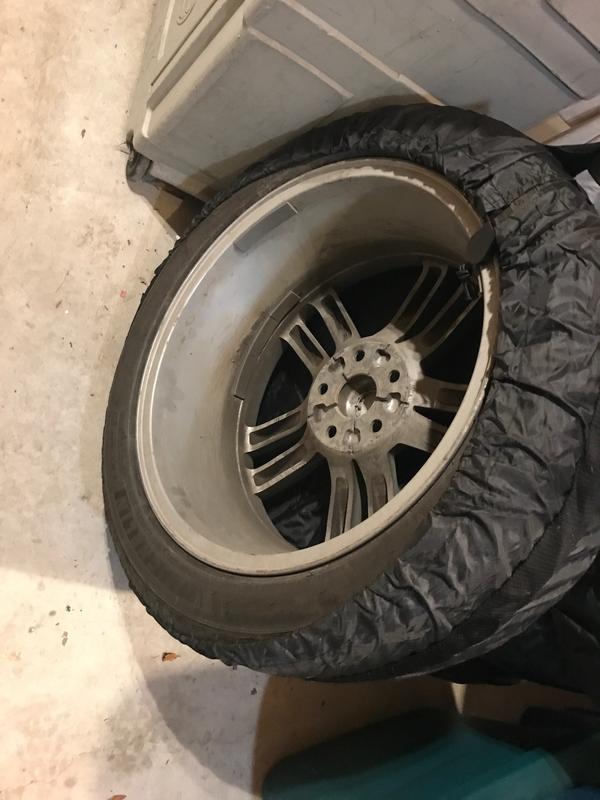 They Don't Show This Side on the Website!