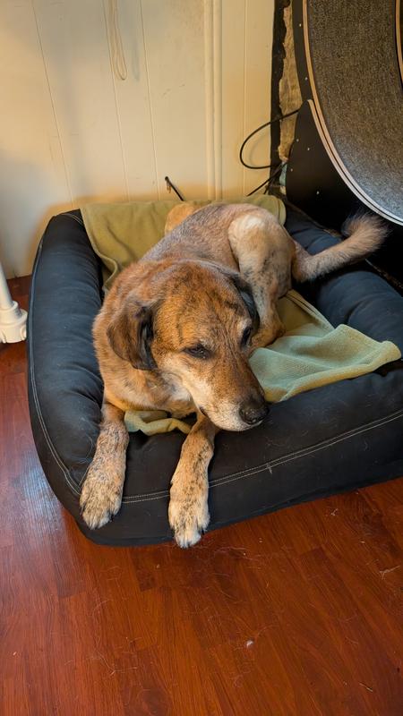 Photo - commentaire 7.