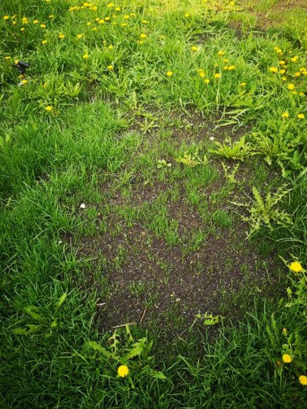 Photo - commentaire 3.