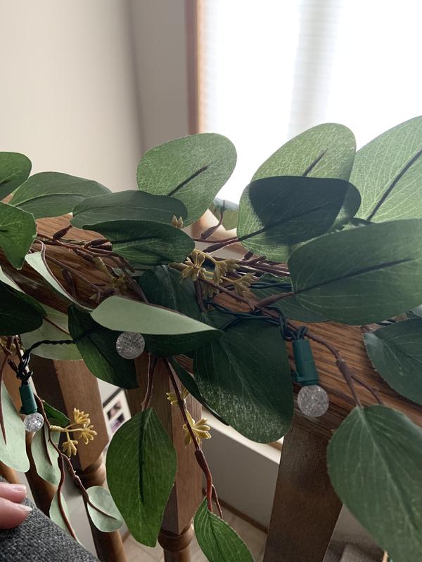 Photo - commentaire 5.