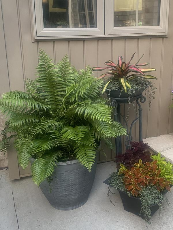 Photo - commentaire&nbsp;6.