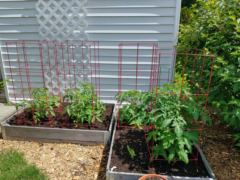 Photo - commentaire&nbsp;2.