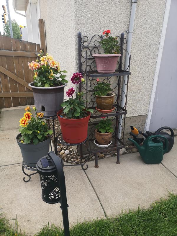 Photo - commentaire 5.