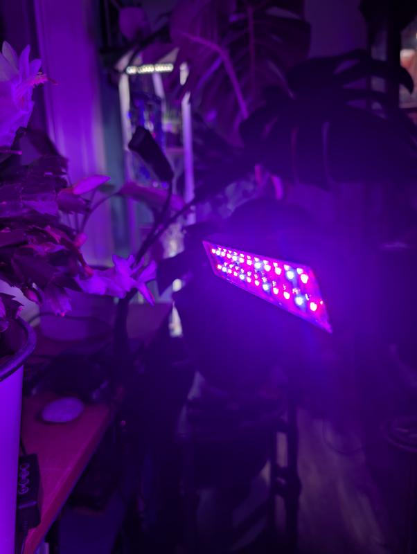 Photo - commentaire&nbsp;7.