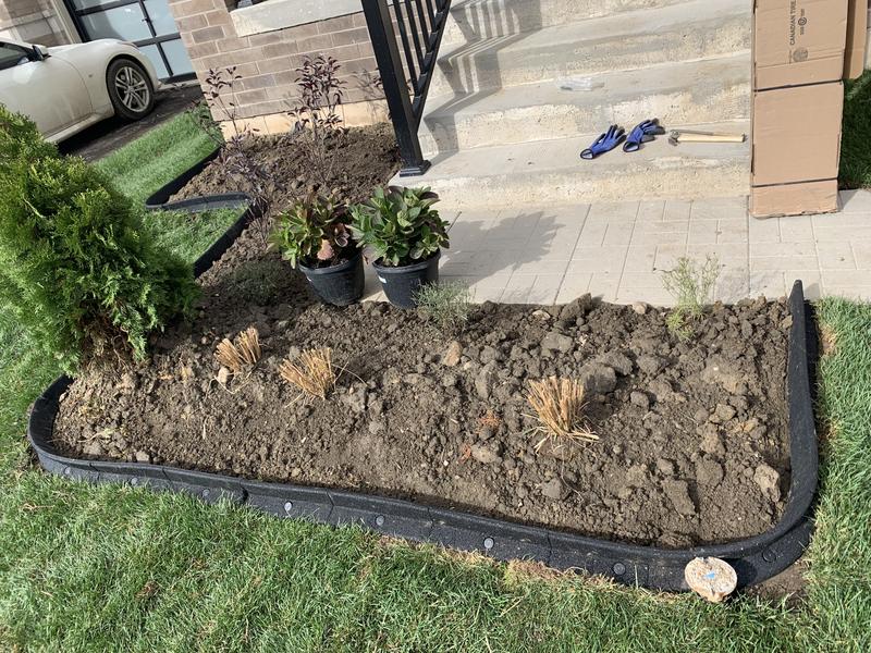 Photo - commentaire 1.