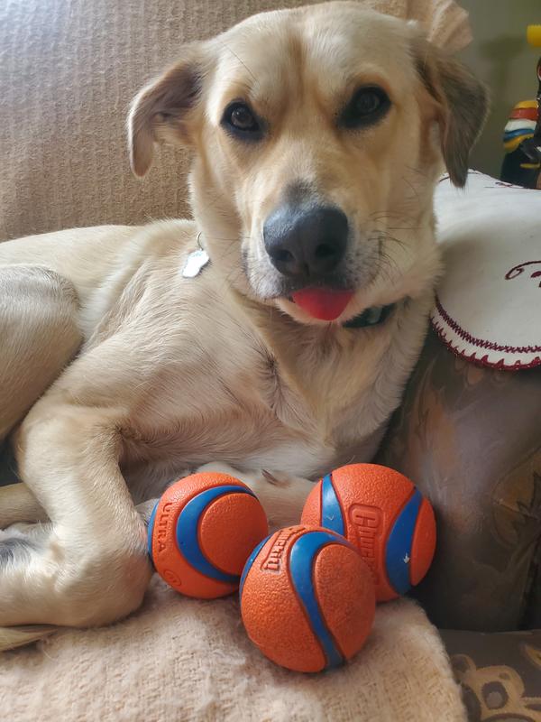Freya with her favourite balls.