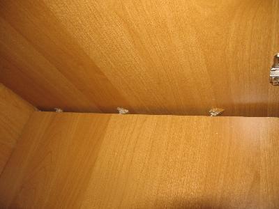 sides don't connect to wall anymore