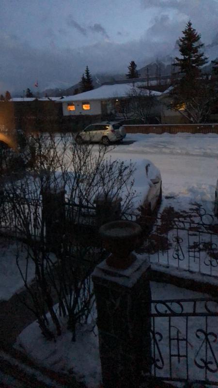 Out our front door the birds are eating and enjoying the seeds.