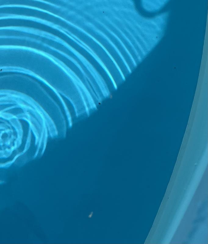 Photo - commentaire 1.