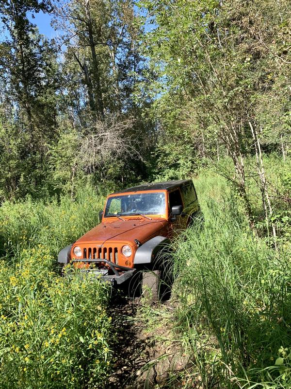 Stuck but we got out with the winch