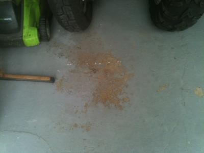 wear spots in tire tracks after two years