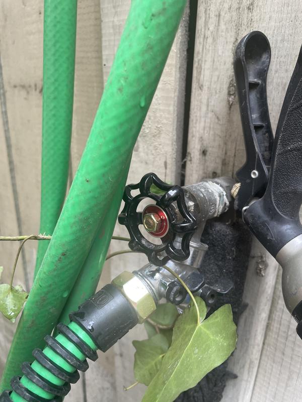 Photo - commentaire 1.