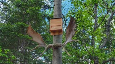 Photo - commentaire 6.