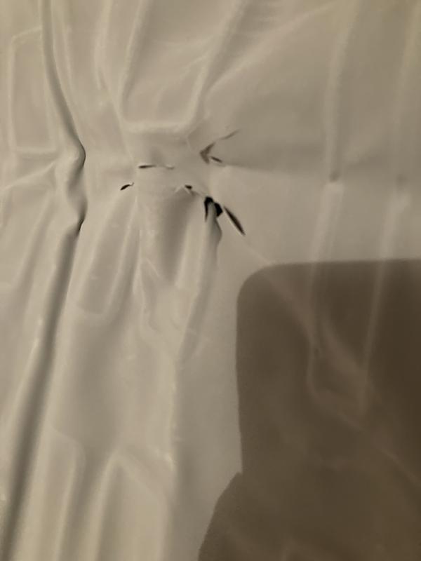 Photo - commentaire 4.