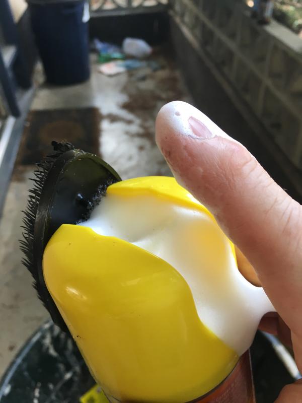 Photo - commentaire 8.