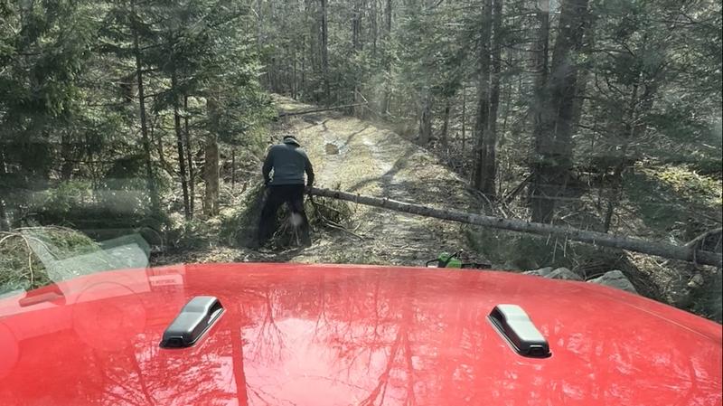 I had several trees down on our lot of varying size. The saw worked great and so quiet I didn’t need hearing protection.
