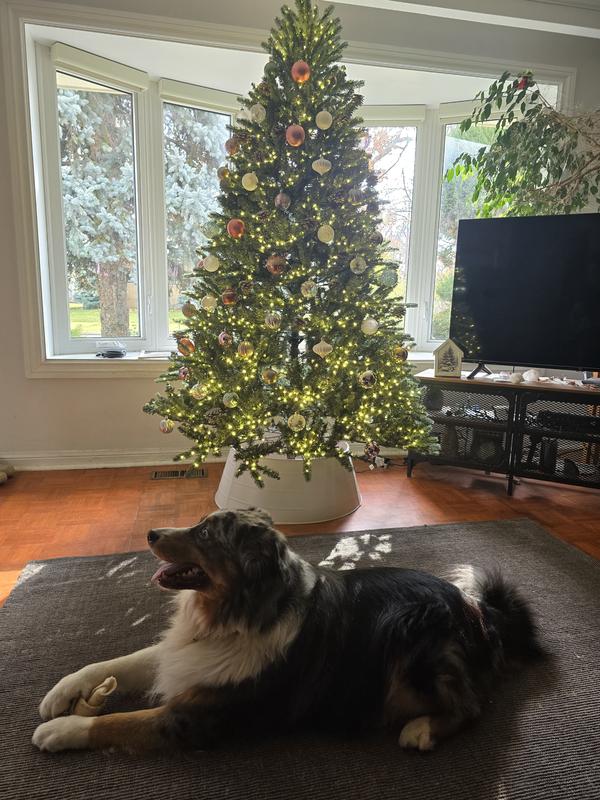 Photo - commentaire 1.