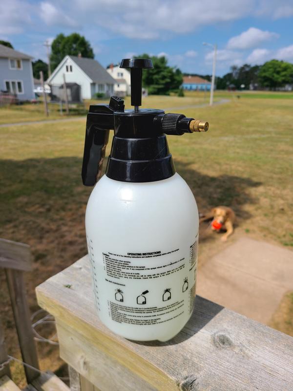 Photo - commentaire 1.