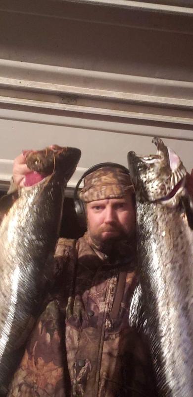 Photo - commentaire 2.