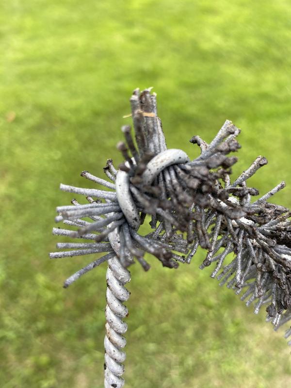 Photo - commentaire 1.