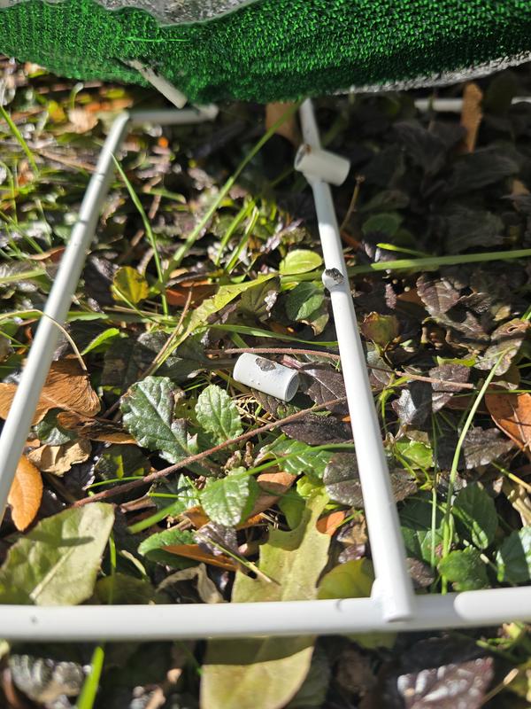 Photo - commentaire&nbsp;2.