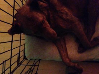 Photo - commentaire&nbsp;4.