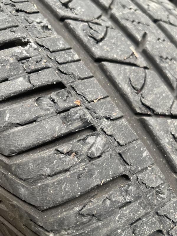 Photo - commentaire 1.