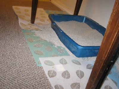 Photo - commentaire&nbsp;1.