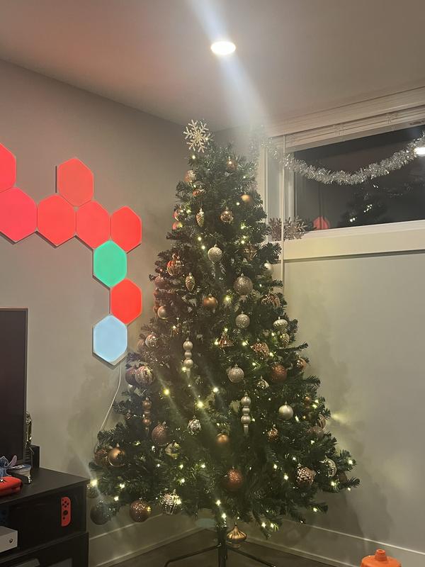 Even safe for a curious pet rabbit!