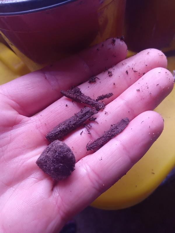 Photo - commentaire&nbsp;3.