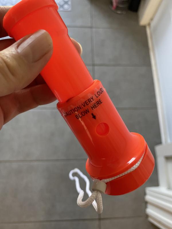 Photo - commentaire&nbsp;1.