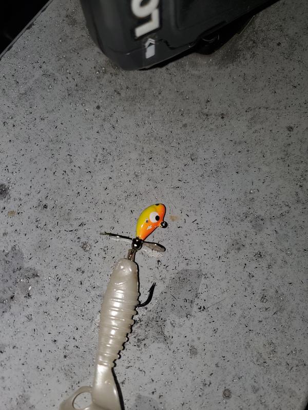 Photo - commentaire&nbsp;6.