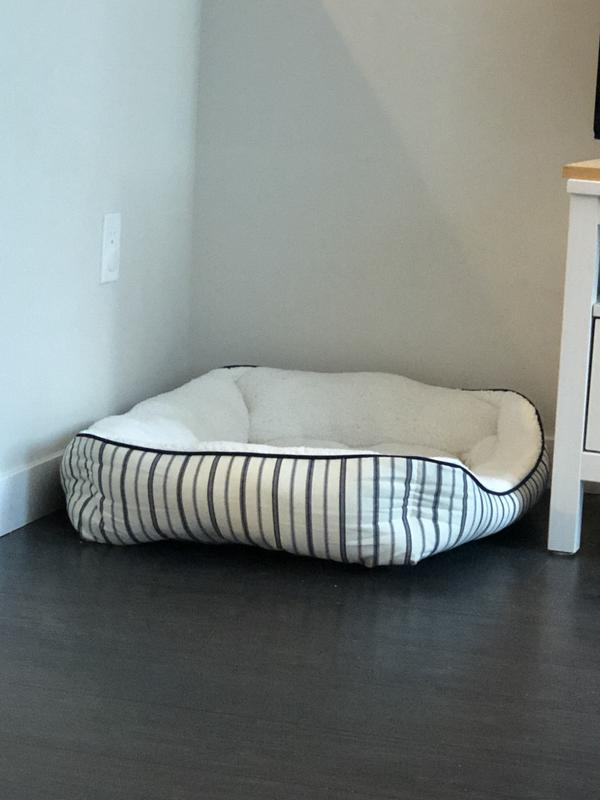 Photo - commentaire 5.