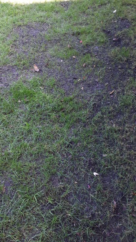 Photo - commentaire 7.