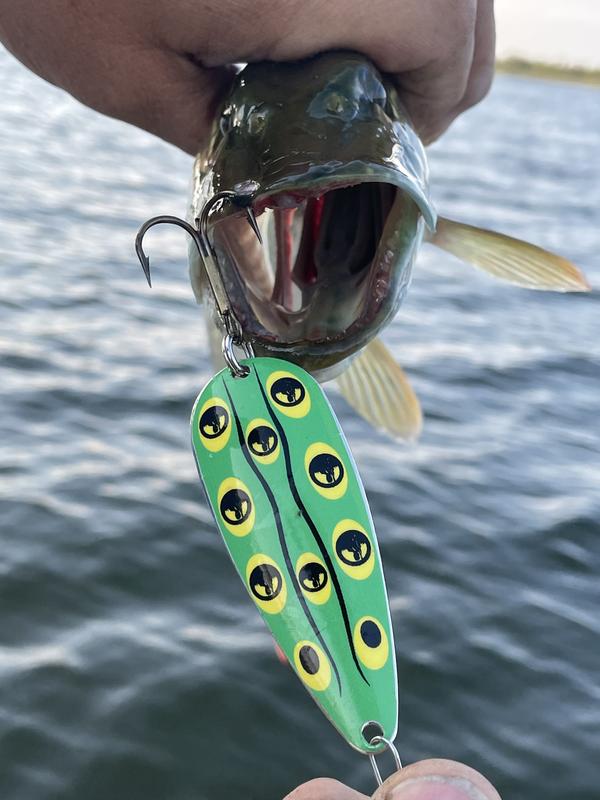 Photo - commentaire&nbsp;2.