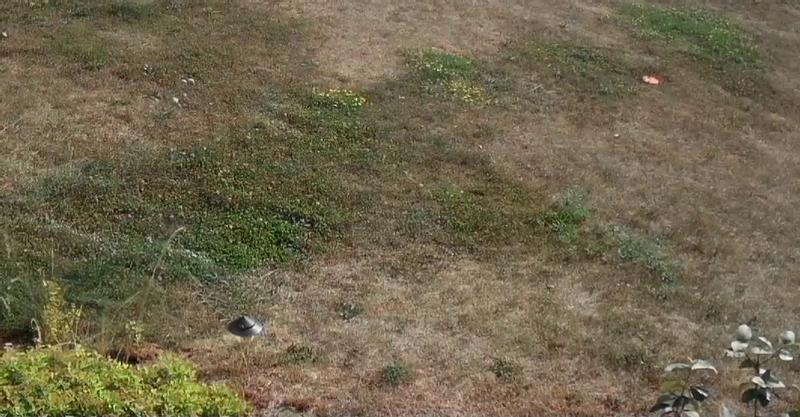 Photo - commentaire&nbsp;1.