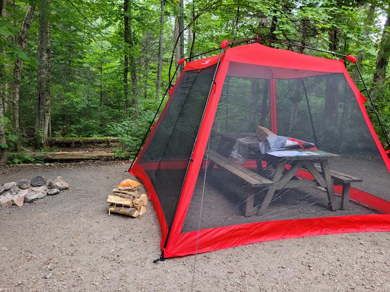 Photo - commentaire 8.