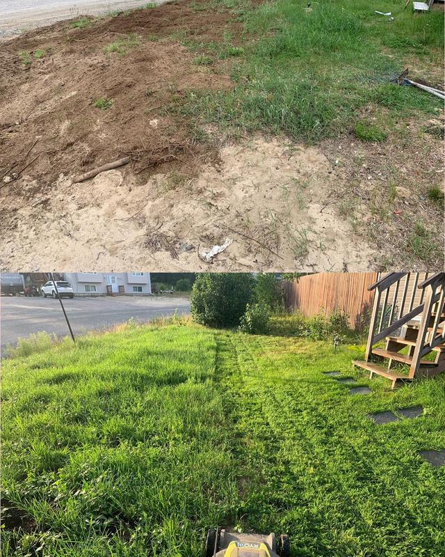 Before and after front yard