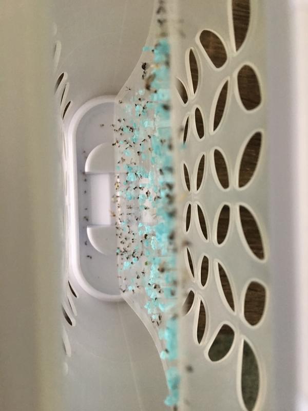 Photo - commentaire&nbsp;4.