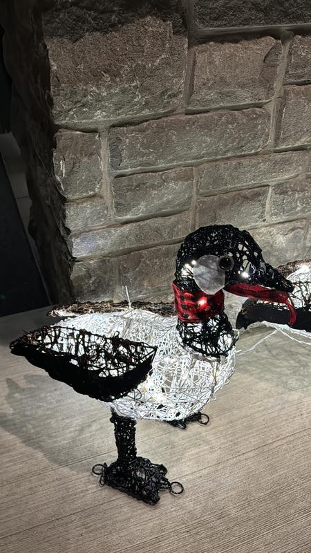 Photo - commentaire 5.