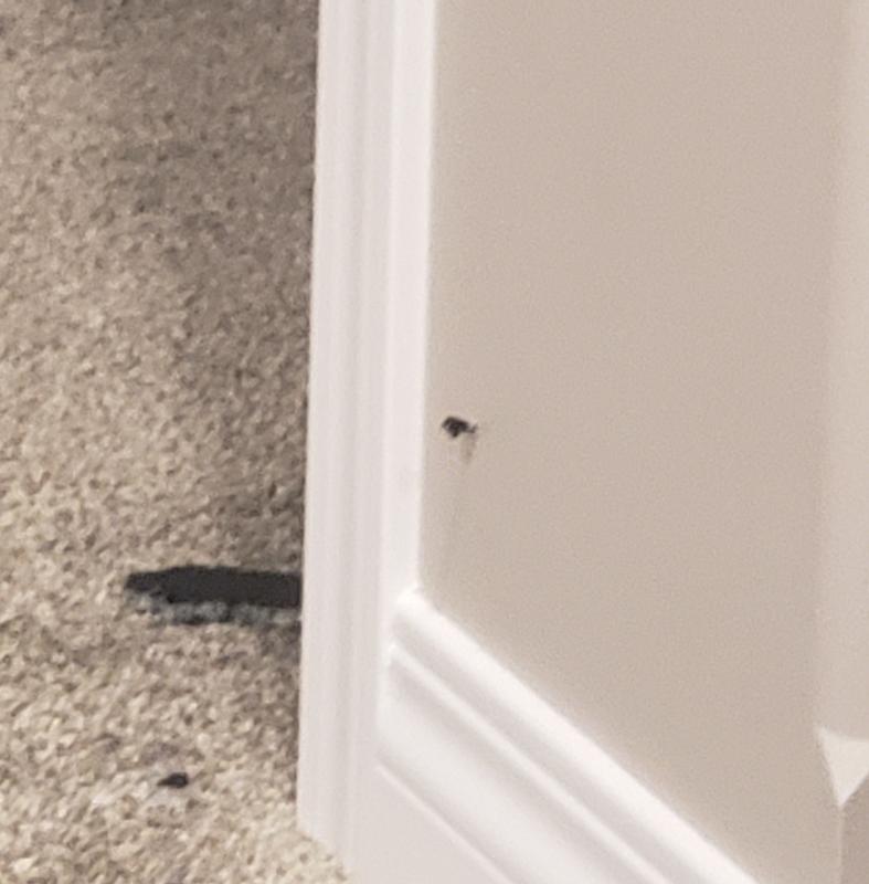 Photo - commentaire 3.