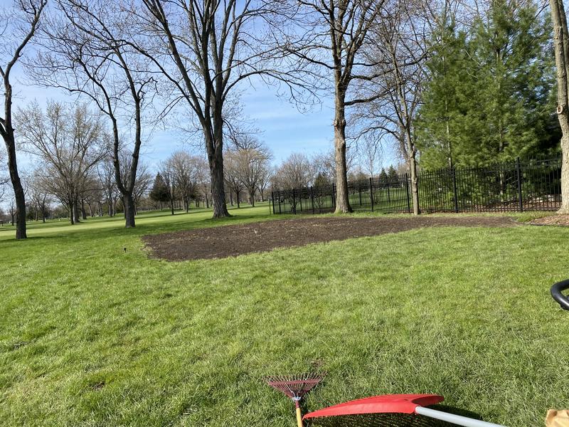 The day the seed was planted