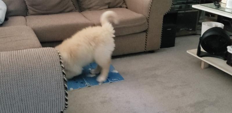 Photo - commentaire&nbsp;2.