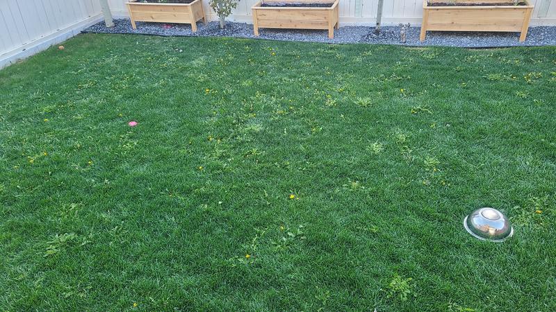 Photo - commentaire 4.