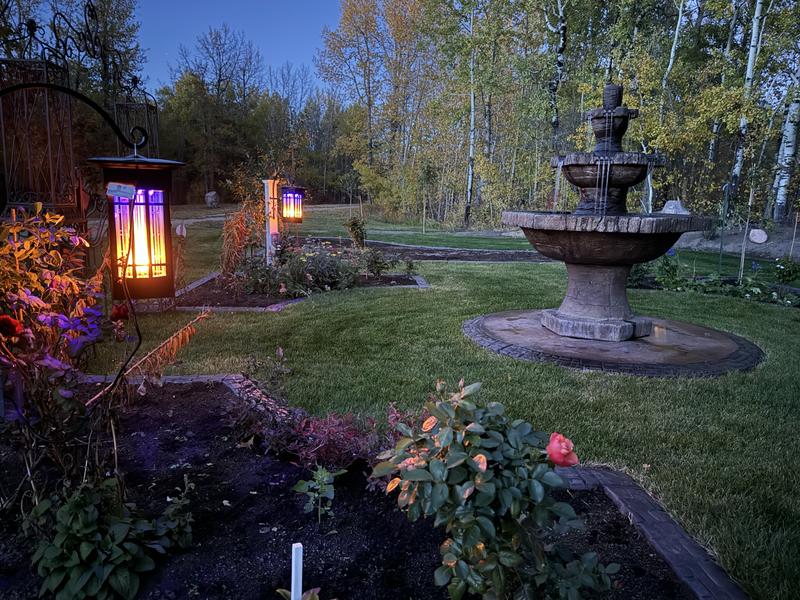 Photo - commentaire&nbsp;3.