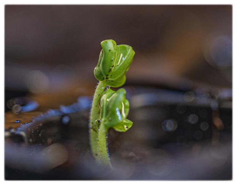 Photo - commentaire 2.