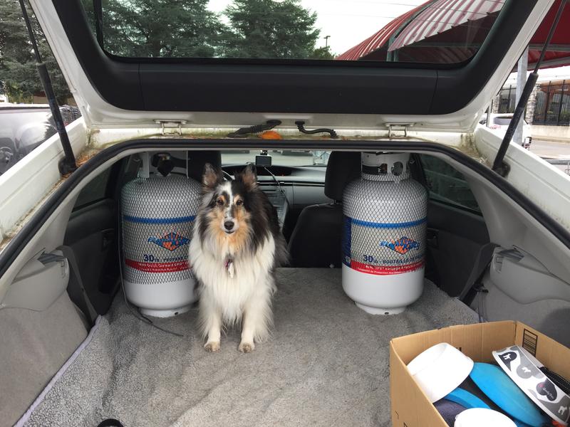 Tied standing upright