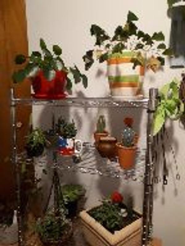 Photo - commentaire 4.