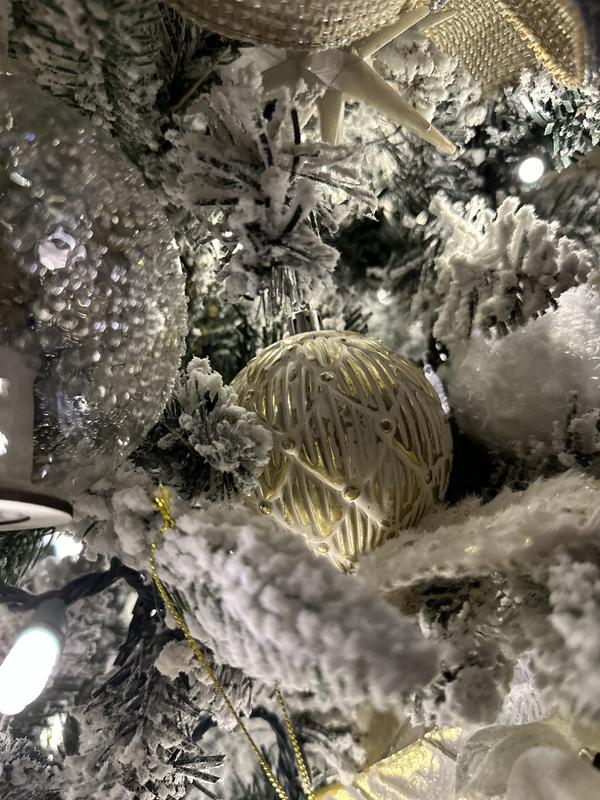 Settled in just great!