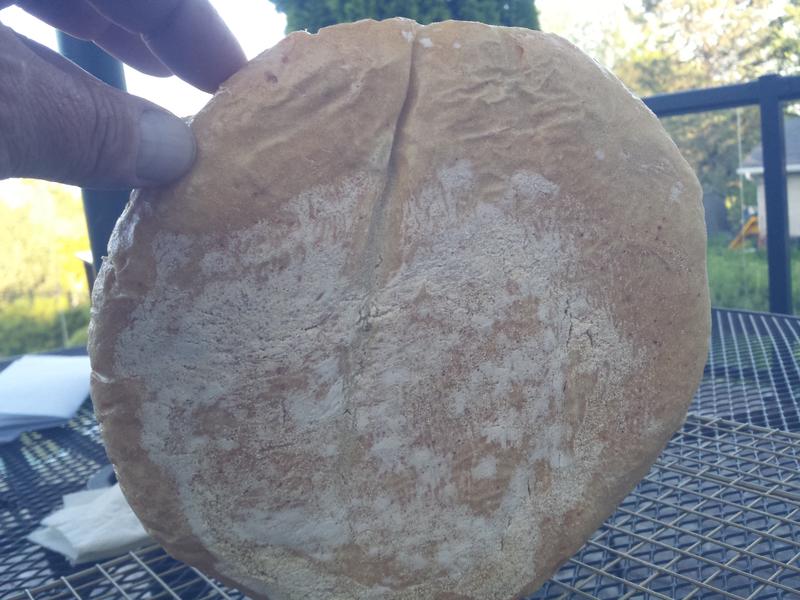 Webby Bread # 2 in Lodge 5 qt, from Canadian Tire!